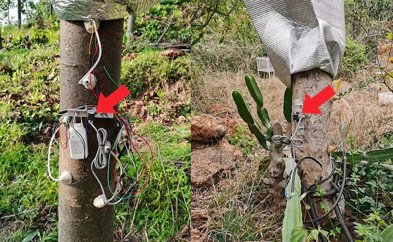 電子尺在注塑機上的發(fā)展 直線位移傳感器植物生長監(jiān)測應用